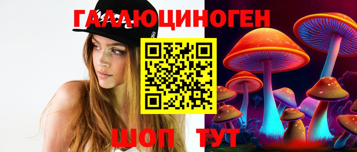 Псилоцибиновые грибы GOLDEN TEACHER Бирск